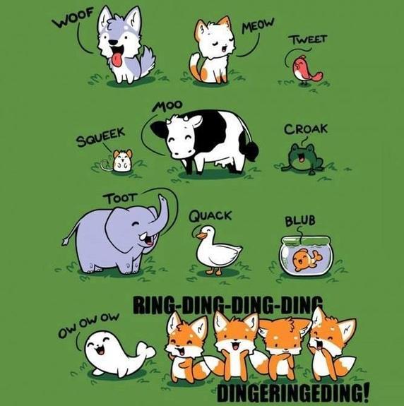 Кто как говорит — звуки животных