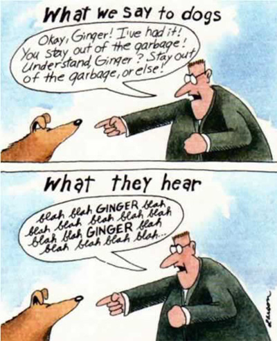 понимают ли собаки речь человека