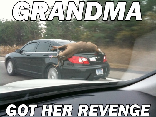 grandma got run over by a reindeer