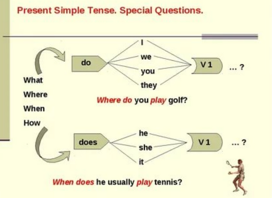 Present simple схема построения предложений