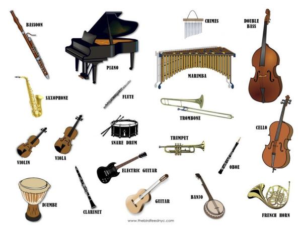 Все Виды Музыкальных Инструментов Фото С Названиями