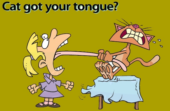 cat got your tongue идиома значение